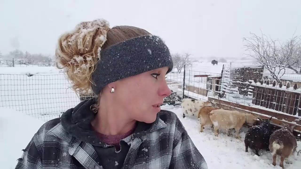 The Only Time I Have Ever Wanted My Goats To Hold Out On Labor! S2E9