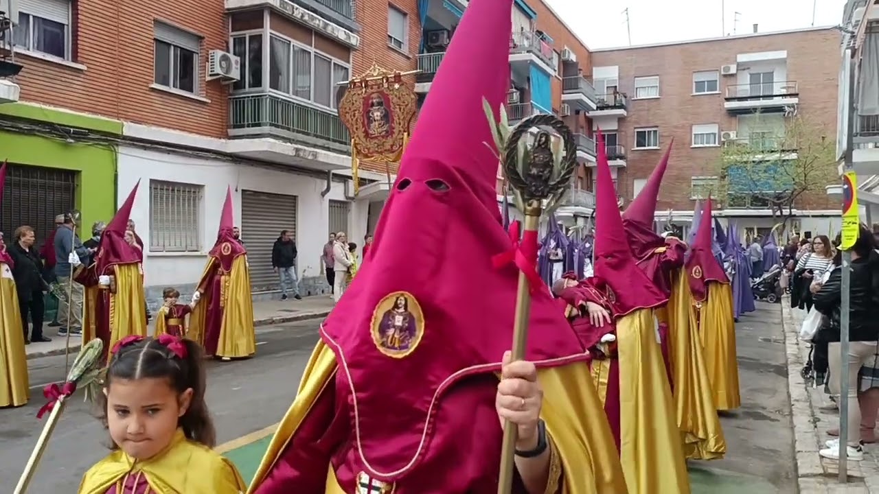 Domingo de Ramos. Semana Santa 2024 Torrent. Valencia. Parte 1