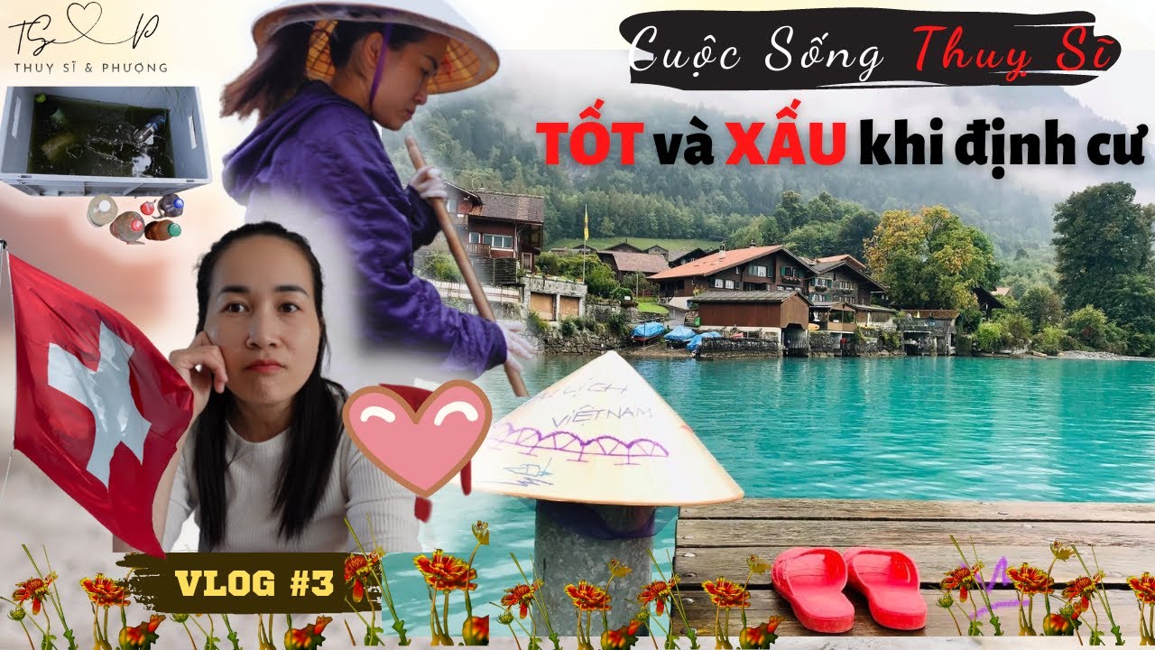#3 | Cuộc Sống Thuỵ Sĩ | Tại Sao Nhiều Người KHÔNG Muốn Ở Thuỵ Sĩ | Thuỵ Sĩ và Phượng.