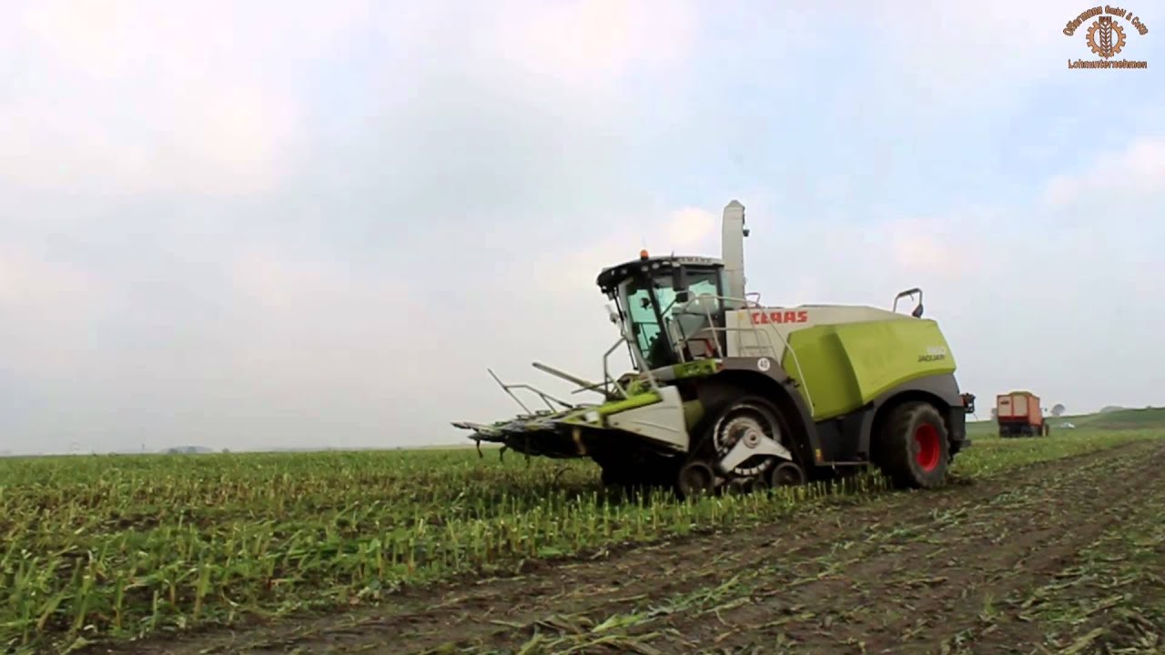 Claas Jaguar 960 auf Ketten! Landtechn  Lohnunternehmen Offermann