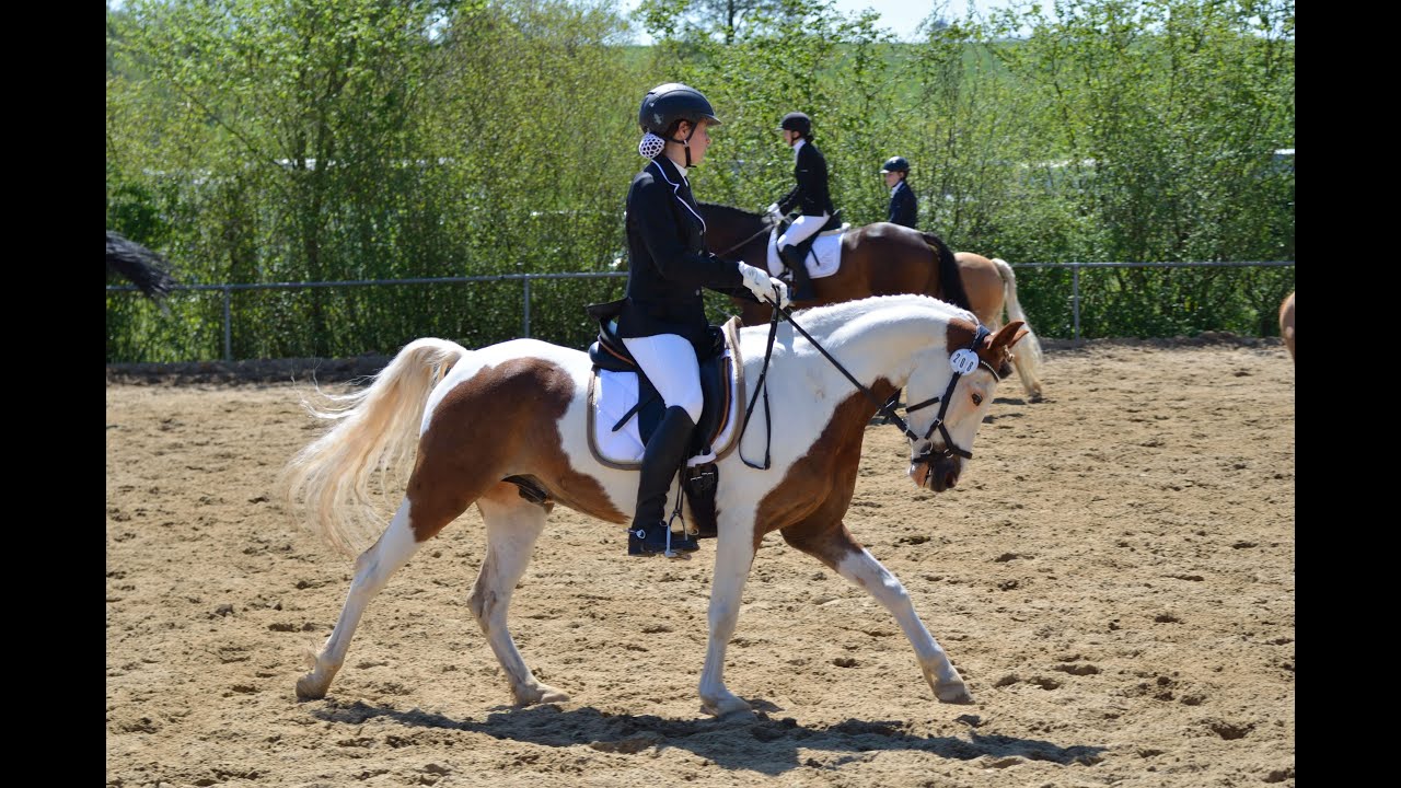 E Dressur (RE1) 2. Platz WN 7,8