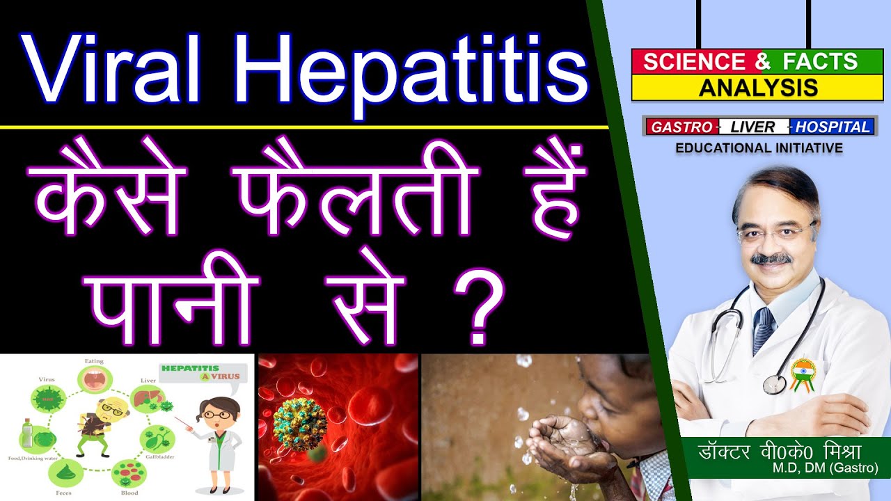 Viral Hepatitis कैसे फैलती हैं पानी से ? || UNDERSTANDING HEPATITIS,THE BASICS THE VIRUSES Part-2