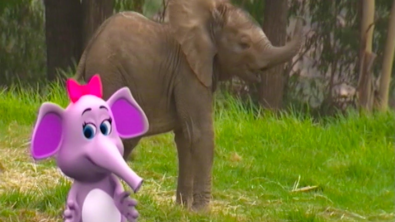 Baby Elephants Song | Learn Animals Songs | From Baby Genius