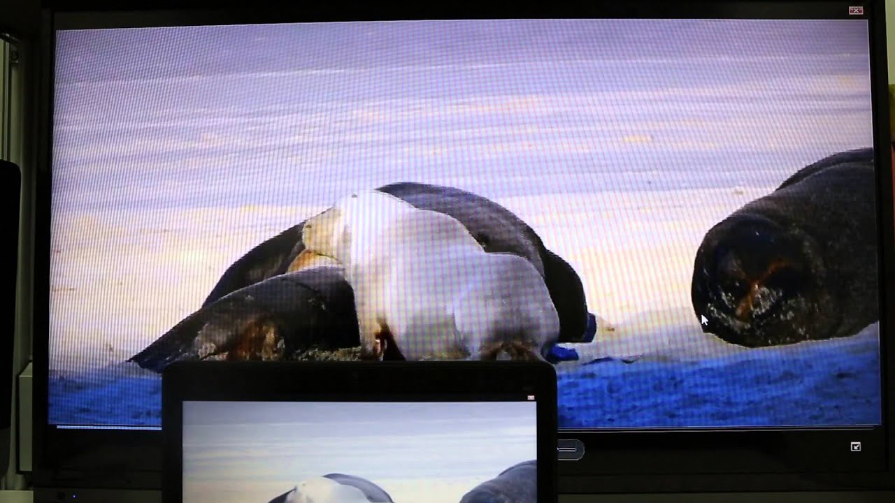 UPF710 UPF720 for Windows鏡像