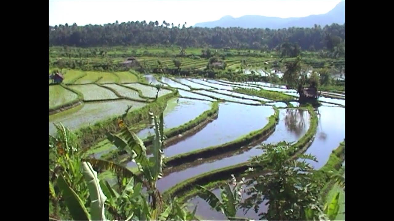 Fietsreis Indonesië | Djoser