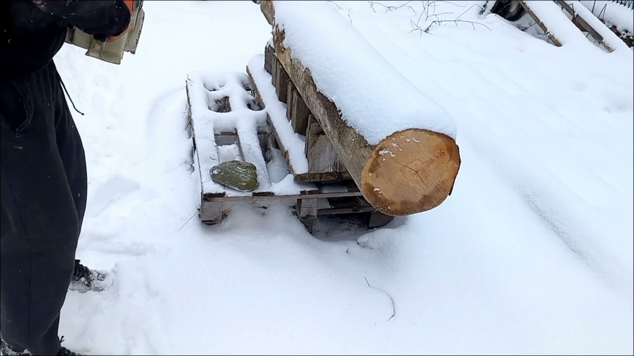 028AV Super + RapidDuro vs buk + kamień #chainsaw #stihl #028 #chain #rd #cuttingwood #łańcuch #piła