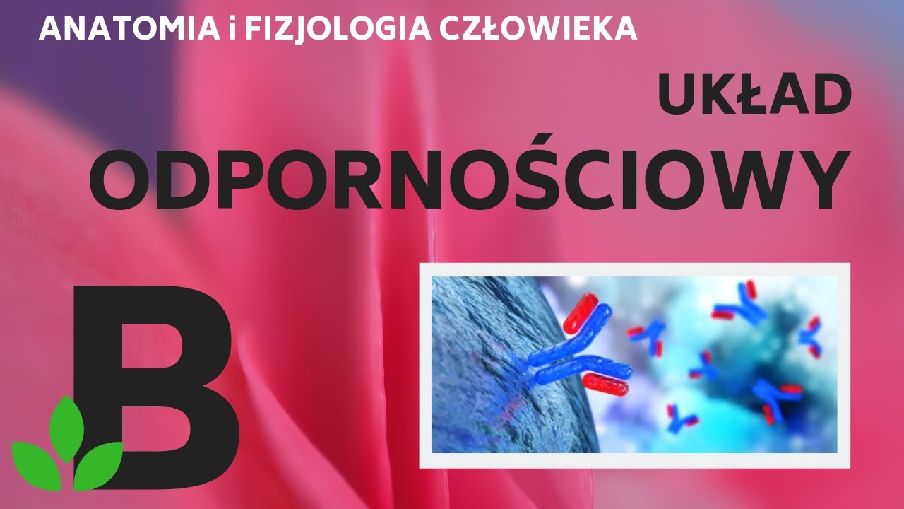 Układ ODPORNOŚCIOWY człowieka - KOREPETYCJE z BIOLOGII - 245