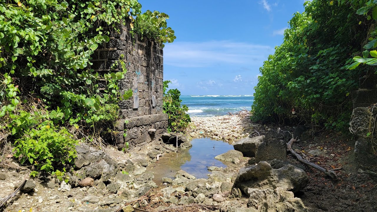 October 11, 2024 - The Train Line Congor Bay To Martins Bay with J (Barbados 4k)