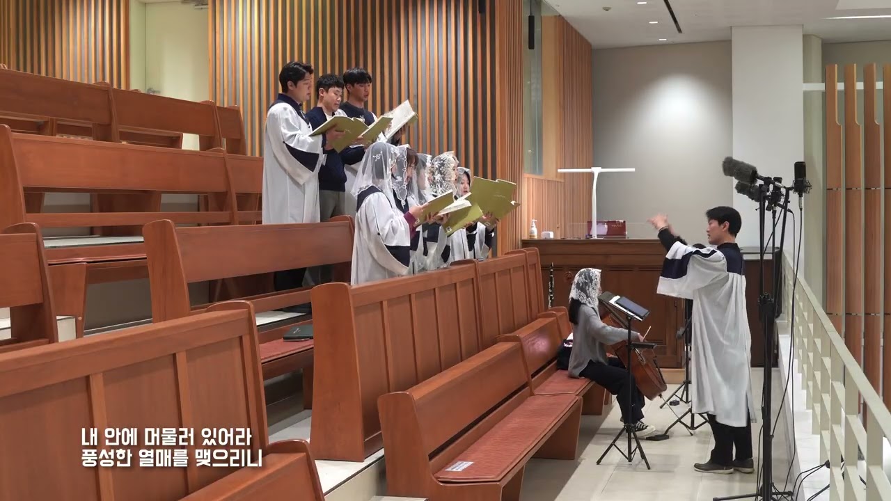 [세곡동성당 루체성가대] 나는 포도나무요 / 강가을 대건안드레아 곡 - 2025년 11월 9일 평신도 주일