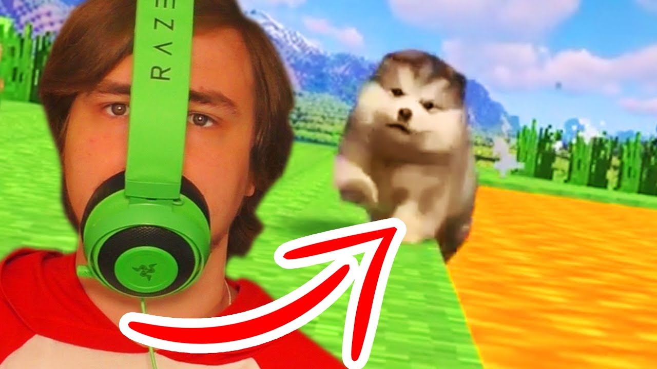 ABSOLUUT VERPLICHT LACHEN (gamer editie)