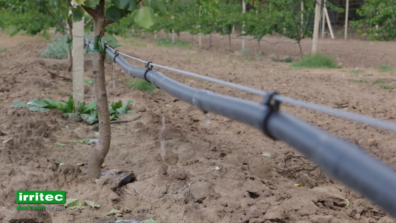 Irritec Drip Irrigation Solutions 2