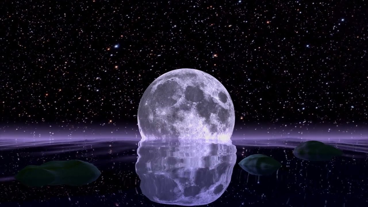 Full Moon  | Free Footage - Videos for content creators
