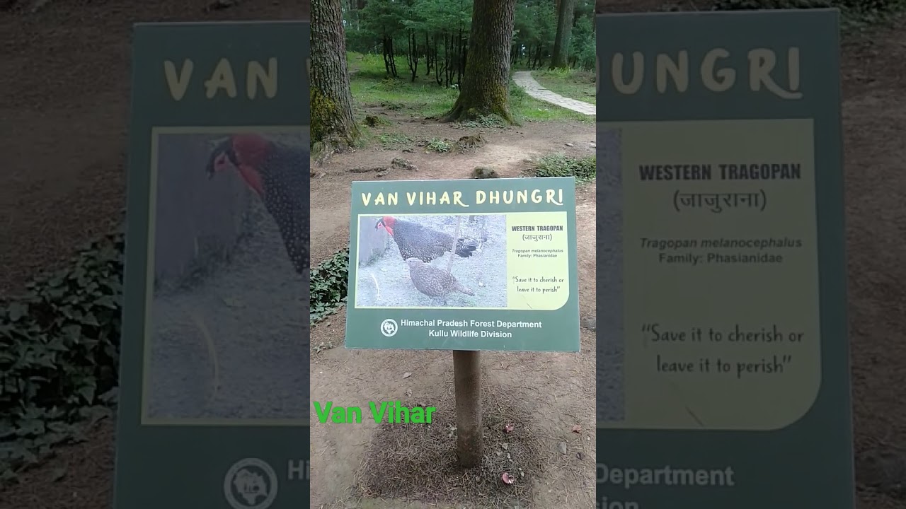 Van Vihar Manali