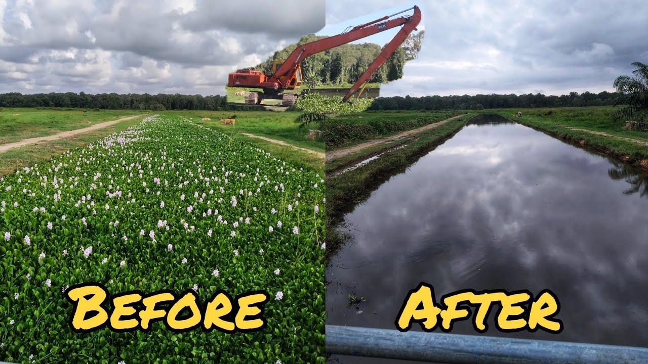 Ditch Dredging With Long Reach Excavator , Cuci sungai musim terkujuh