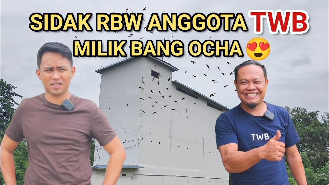 SIDAK RBW ANGGOTA TEAM WALET BOMBANA😍 MILIK BANG OCHA 😁👍