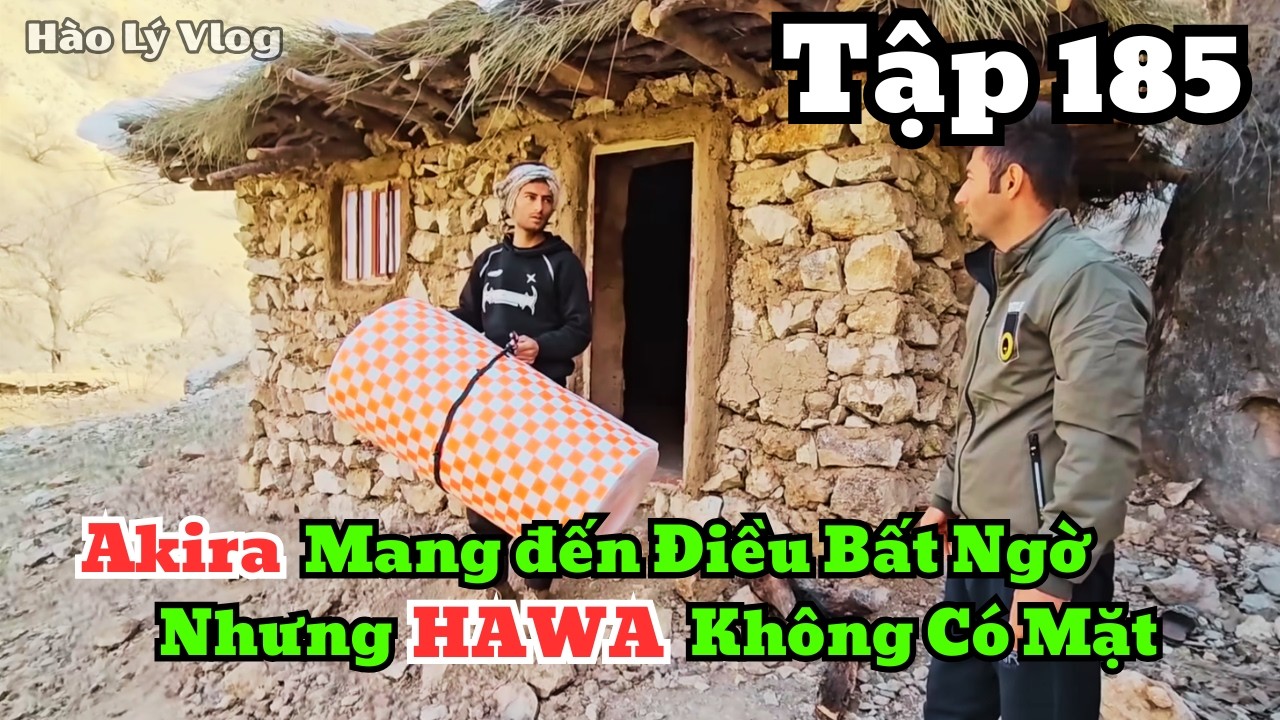 | HAWA - Tập 185 | Akira Cuối Cùng Cũng Đã Đến Nhưng Hawa Lại Không Có Ở Nhà