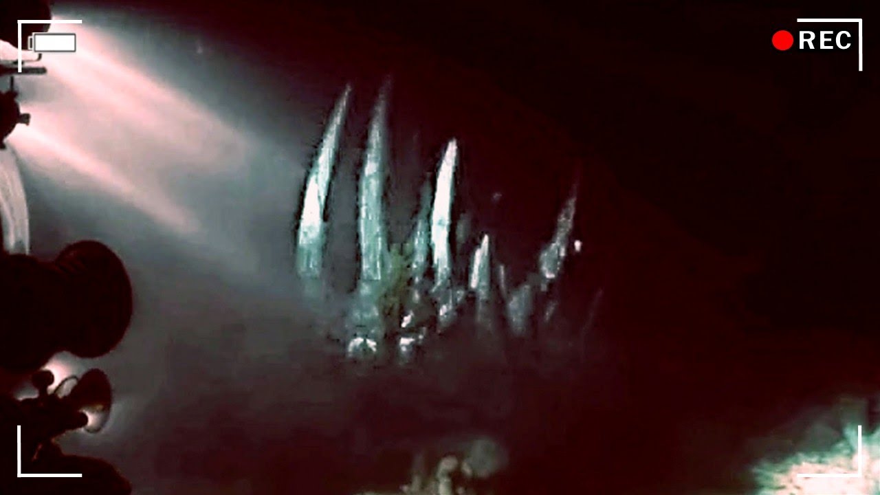 5 Mysterious Diver Encounters That Cannot Be Explained