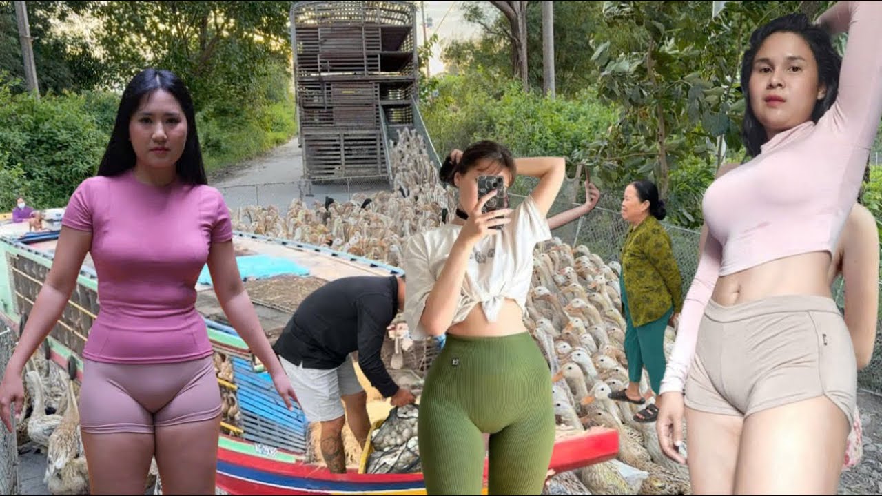close-up of ducks getting on a truck and running to a remote area to find food for crabs and snails