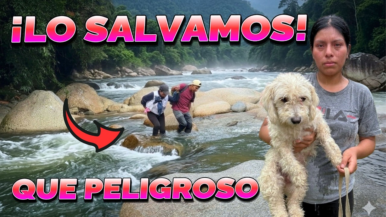 Estaba atrapado en medio del río y esto fue lo que pasó