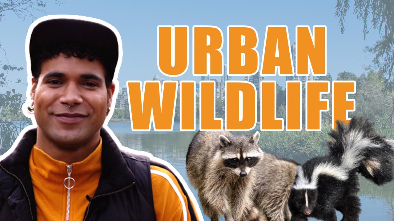 Making space for LGBTQ+ and wildlife communities in urban spaces | Out & About