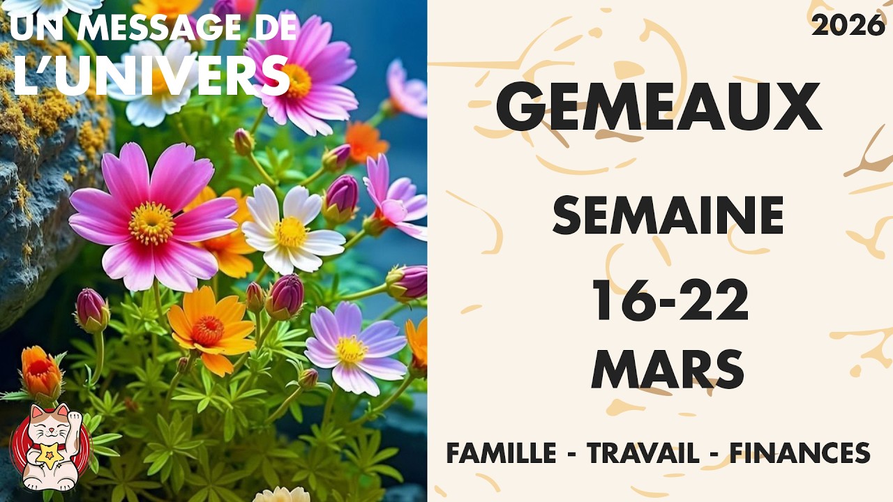 GEMEAUX SEMAINE DU 16 AU 22 MARS une v&eacute;rit&eacute; remet les choses &agrave; leur place