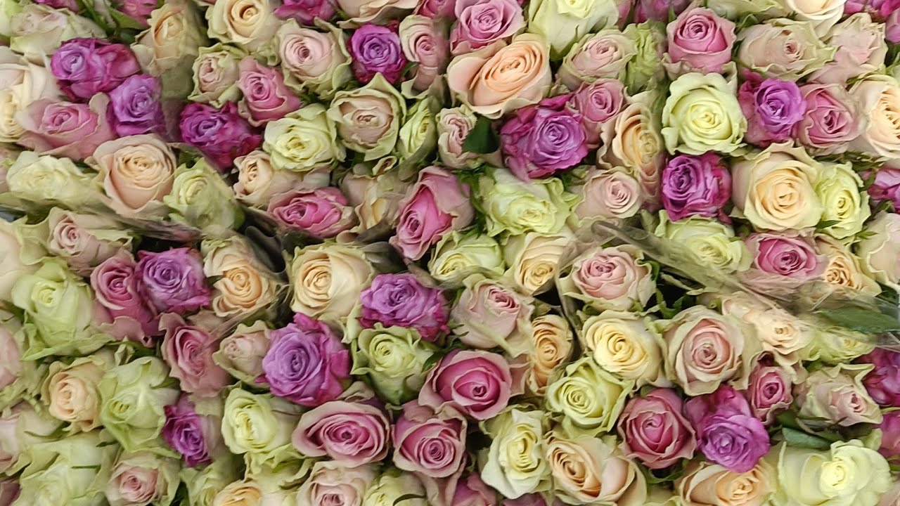 Tagir  Flowers 🌸 в прямом эфире!