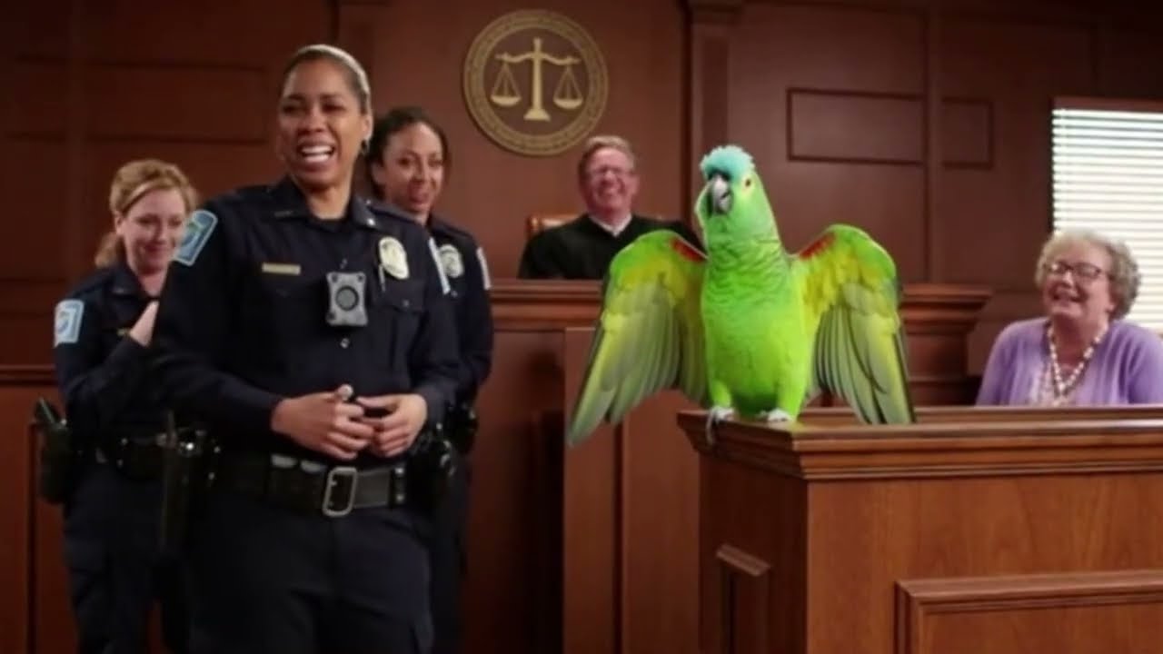 Police vs Parrot Showdown: 🦜 Who Wins in Court? 😂 Epic Funny Moments #talkingparrotvideos