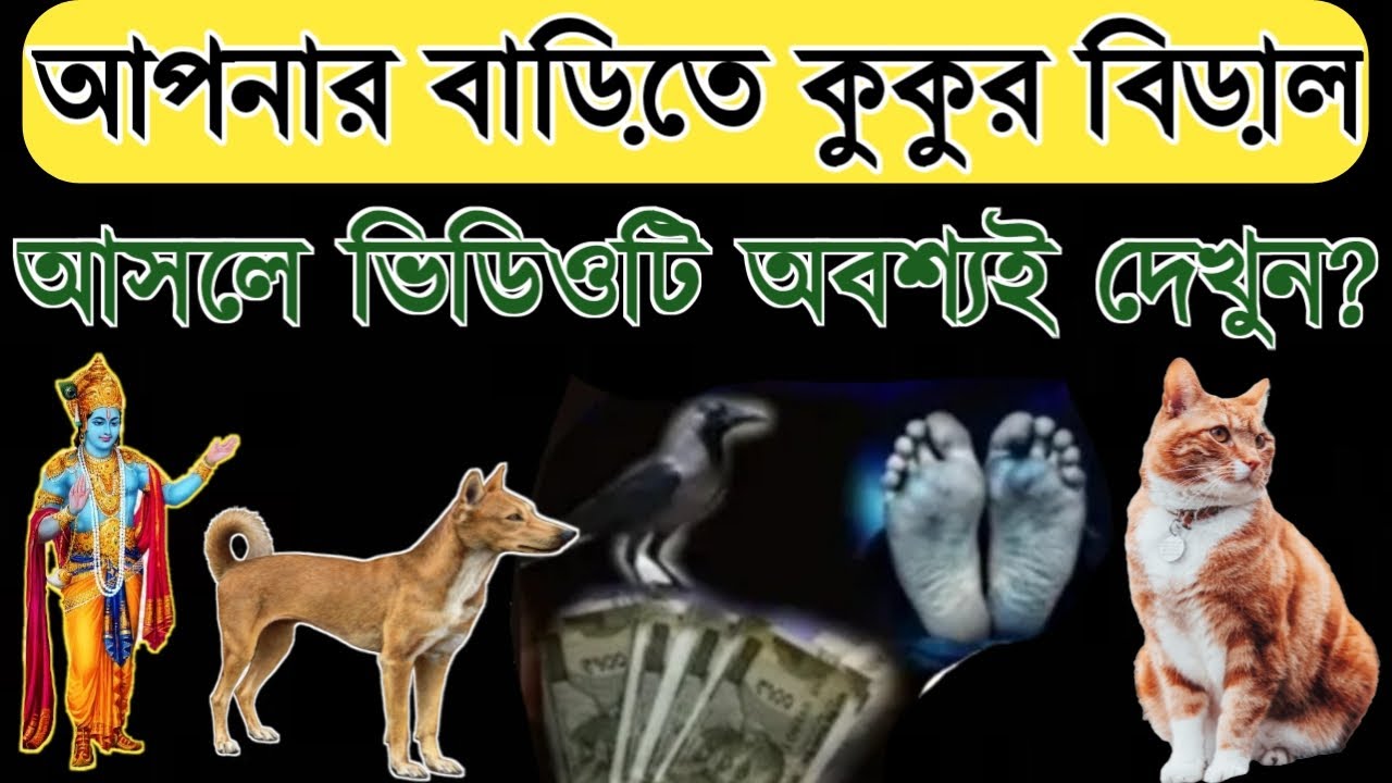 বাড়িতে কুকুর বিড়াল আসা কি শুভ নাকি অশুভ কি বলছে শ্রীকৃষ্ণ! Garuda Puran on cat crying sign
