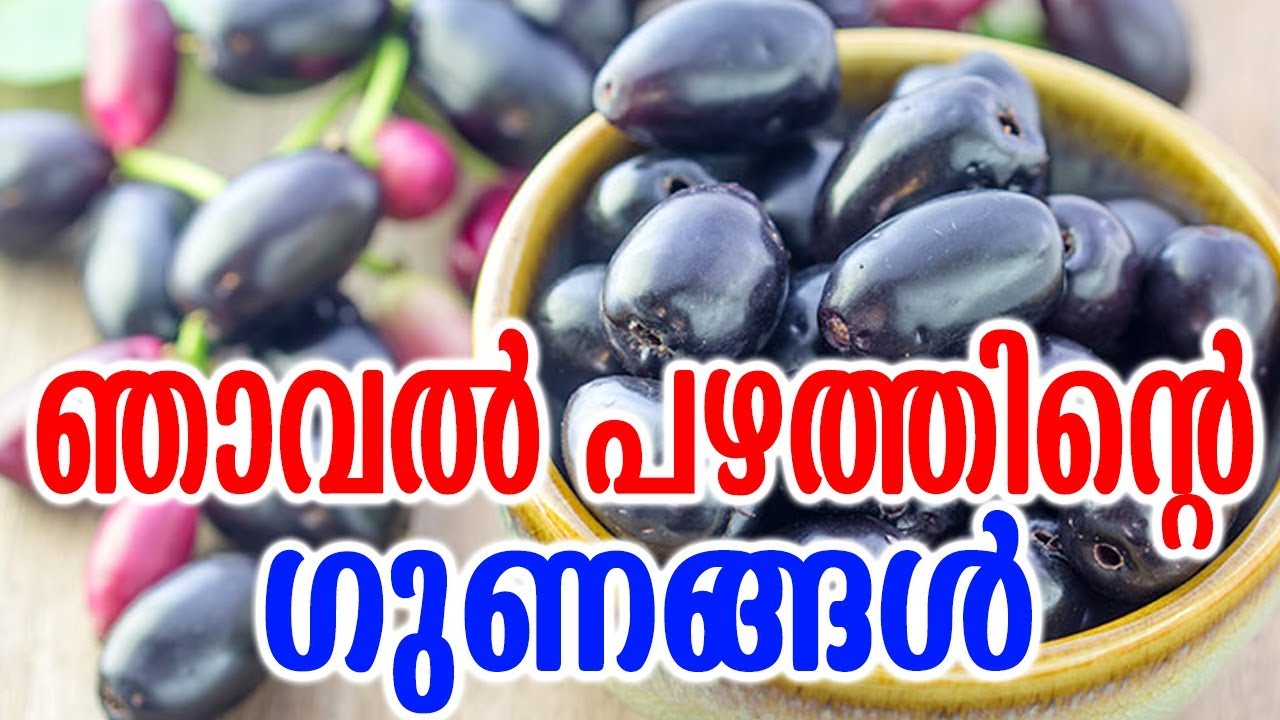 ഞാവൽ പഴത്തിന്&zwj;റെ ഗുണങ്ങൾ | Benefits of Jamun Fruit | TASTY WORLD | Njaval Pazhathinte  Gunangal