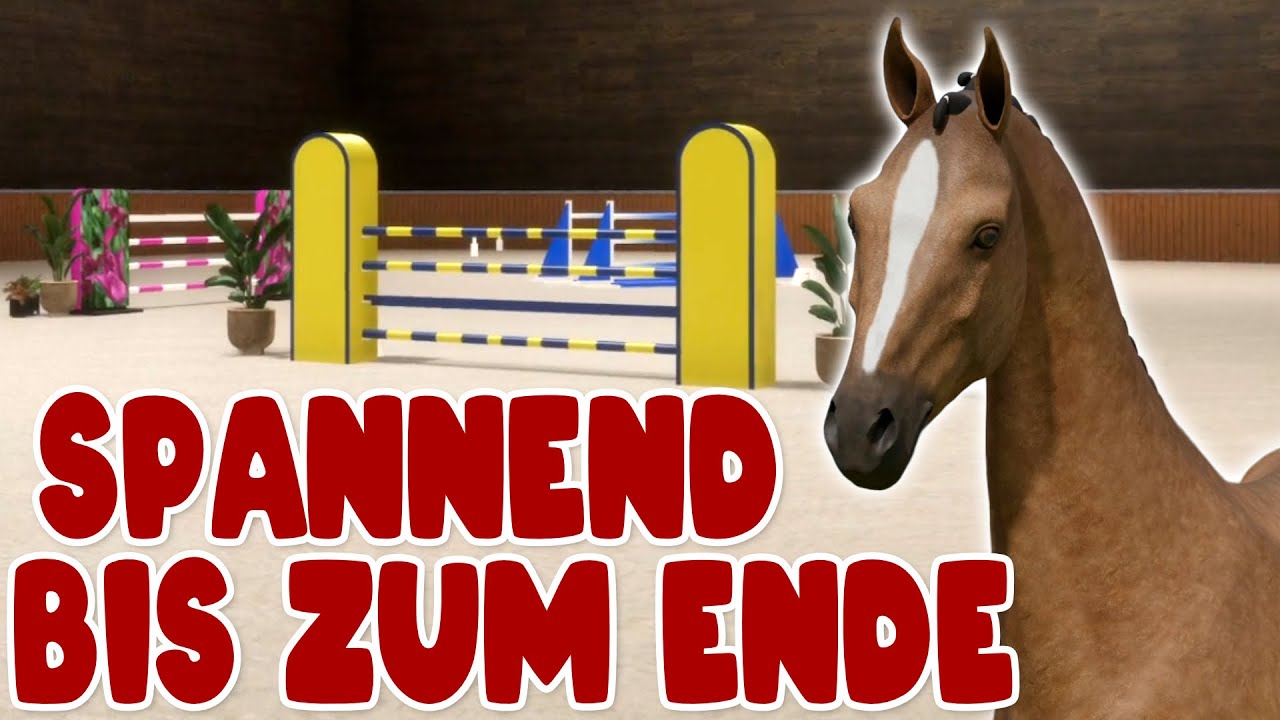 Das Publikum fiebert mit! 🐴 Pro Show Jumping