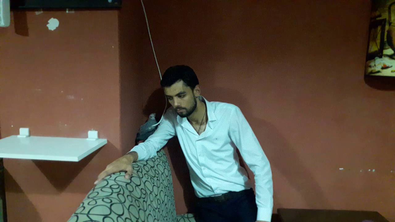 Papağan Eğitim Teknikleri Hirlama ve sosyalleştirme eğitimi