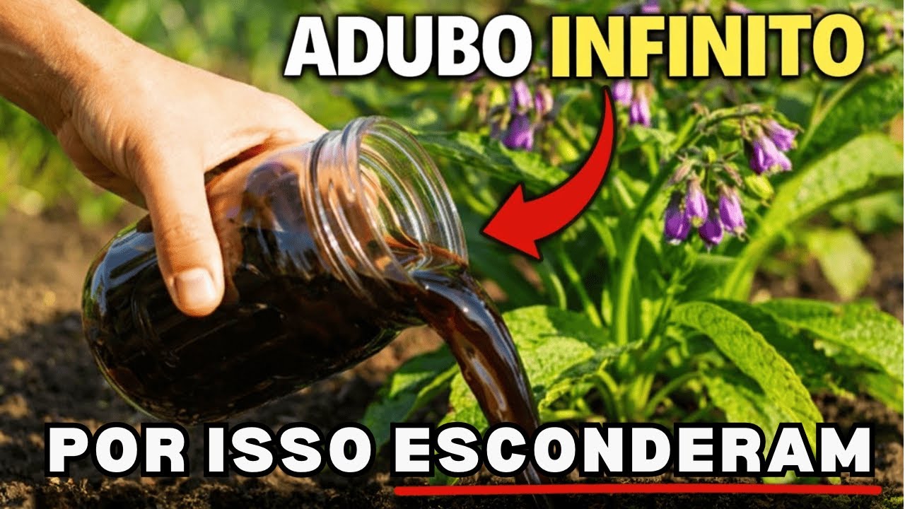 Essa Planta Cria Fertilizante Infinito — Por Que Paramos de Usá la?