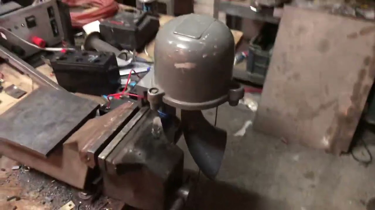 Buczek KBB-6 z rogiem