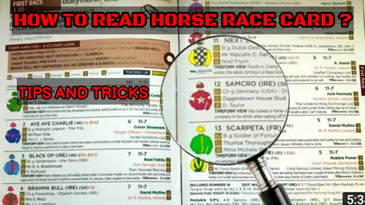 How to read Indian horse race card | complete details about horse racing card  .