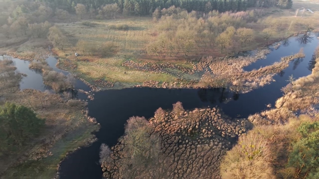 Warta Landscape Park - Beautiful Poland Relaxing Nature Video 4K
