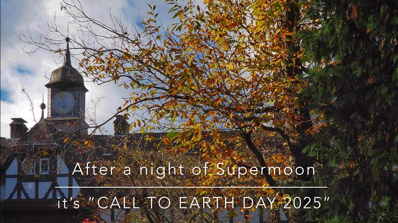 Call to Earth Day 2025, Schlosspark, Kronberg, Germany - 6th November 2025 - A Picjerz Short