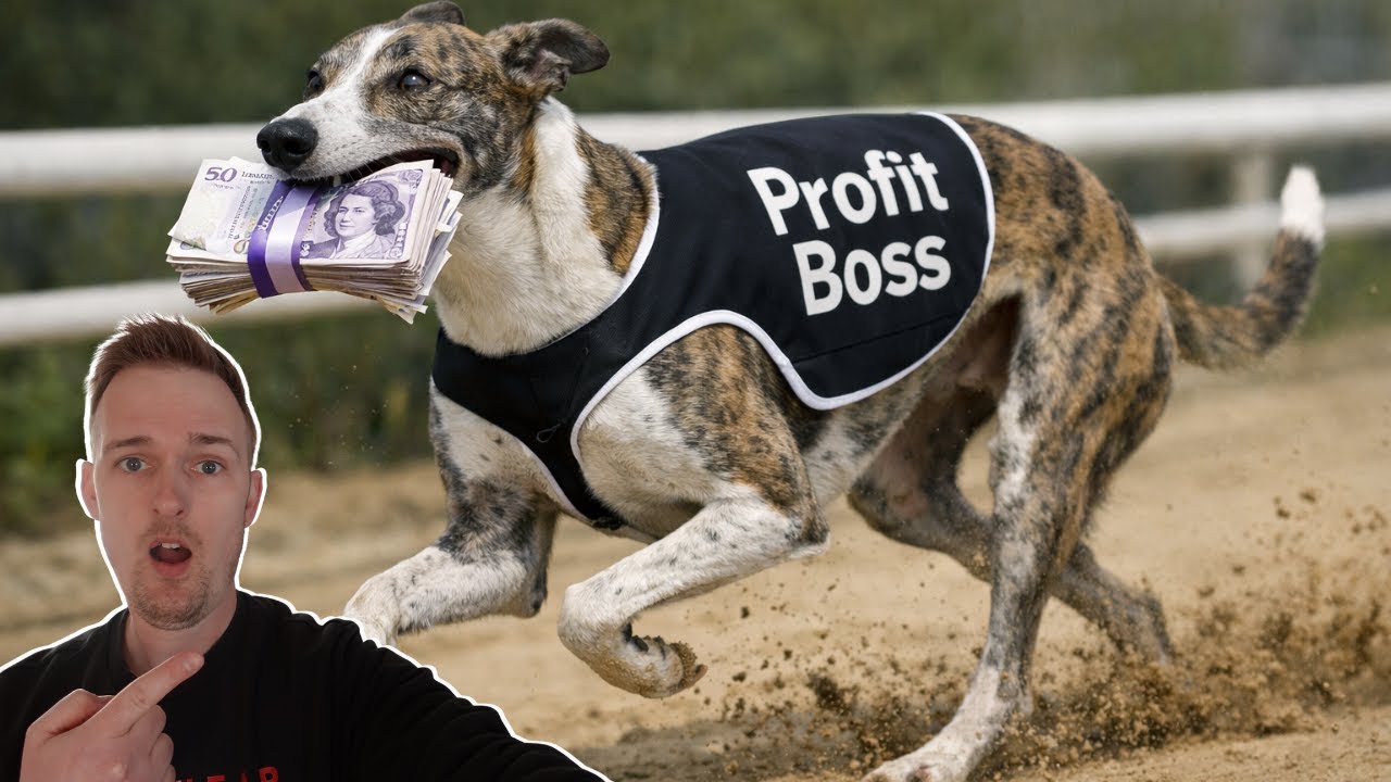 Ставки на собак в автоматическом режиме!