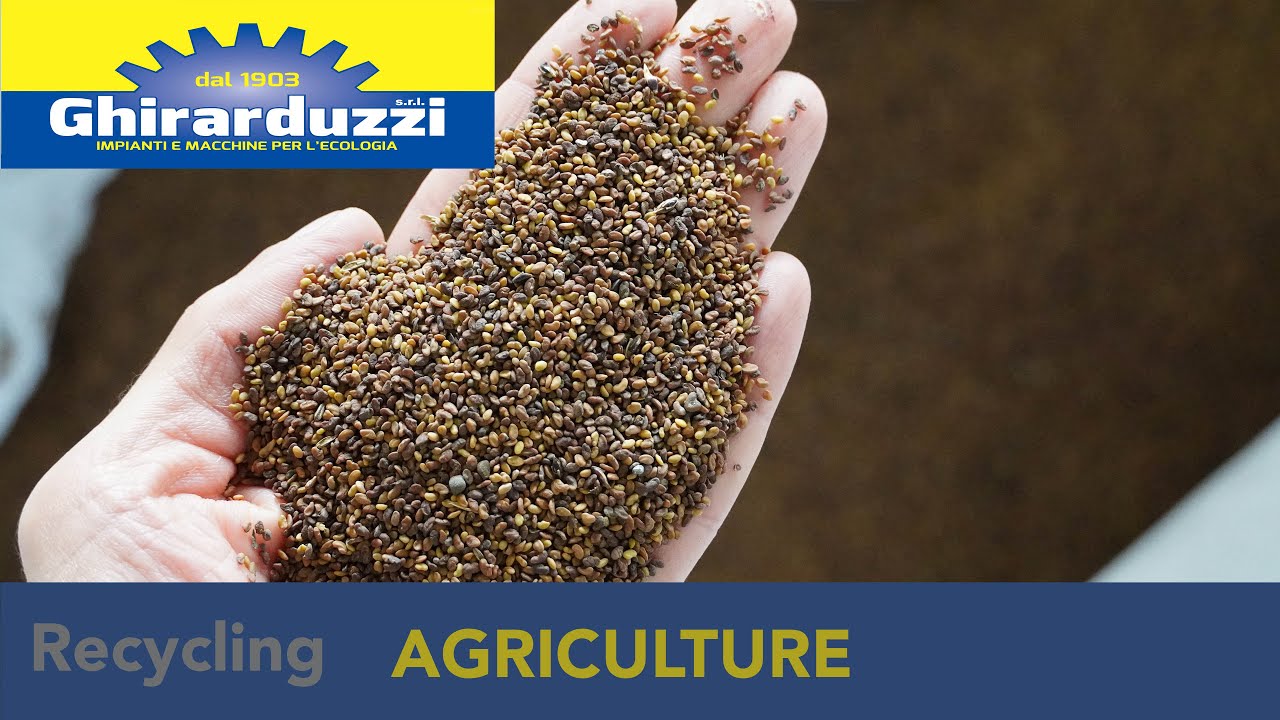 SEED SELECTION - GHIRARDUZZI SRL