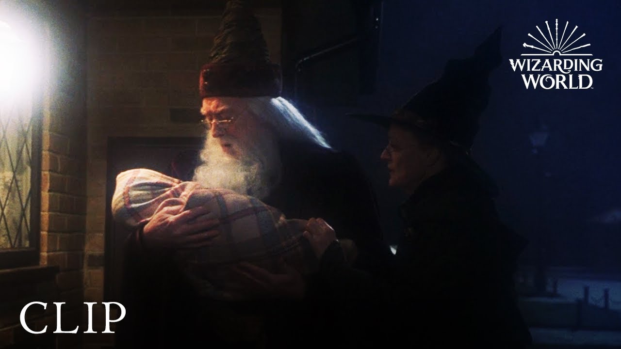 Baby Harry Arrives at Privet Drive | Harry Potter and the Philosopher's Stone