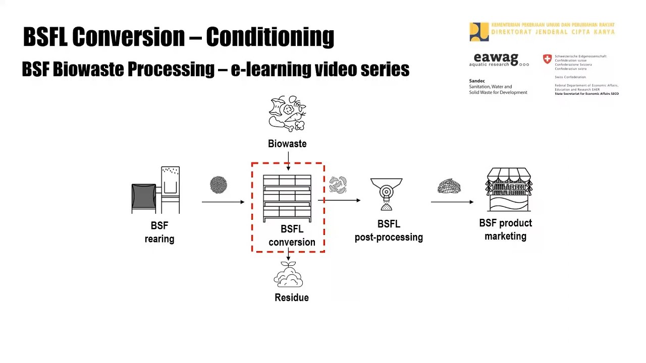 BSFL Conversion - Conditioning - BSF Biowaste Processing e-learning video series