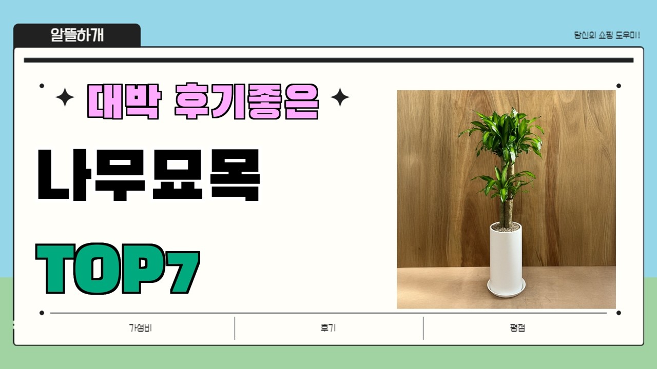 인기 진짜 많아요!! 나무묘목 추천 Best7!! || 가격 후기 평점 비교 가성비 순위