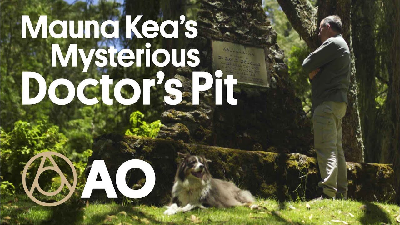 The Mystery of Hawaiʻi&rsquo;s Doctor&rsquo;s Pit | Atlas Obscura