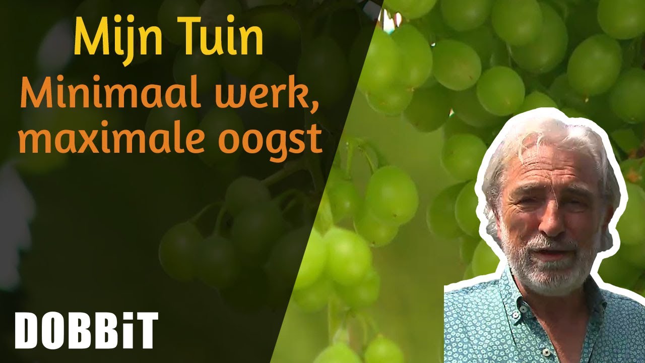 Mijn Tuin - Minimaal werk, maximale oogst