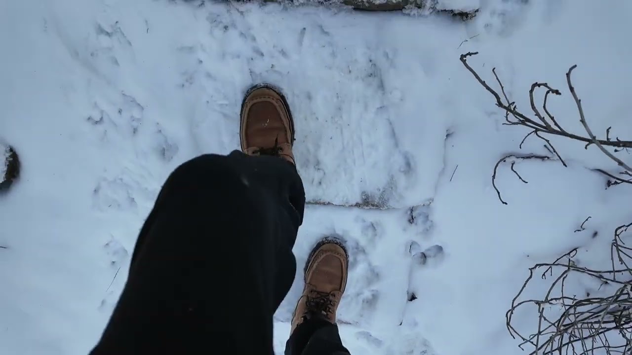 One Simple Winter Day At Our Farm - A Glimpse of Rural Winter (unedited)