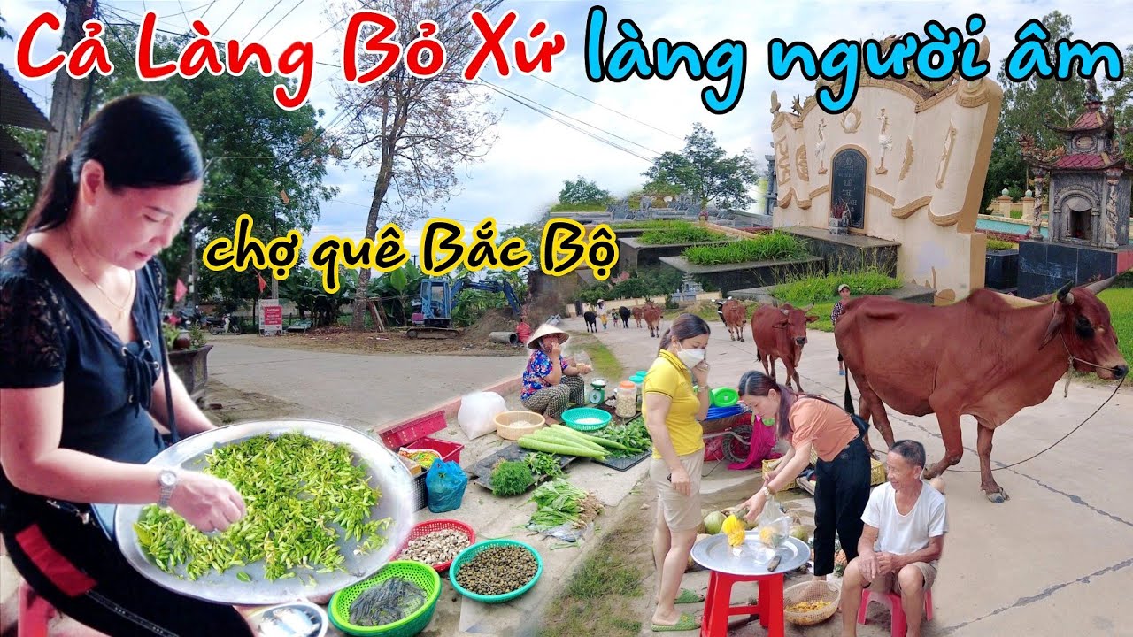Đi chợ quê Bắc Bộ kì lạ ngôi làng toàn người già trẻ em / Thiệu Giao Thanh Hóa