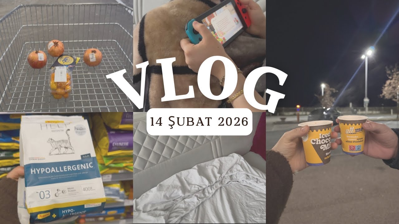 Üşenmedim yaptım sonunda 🛒 | Kedim yine bildiğiniz gibi 🐈 | Günlük Vlog | 