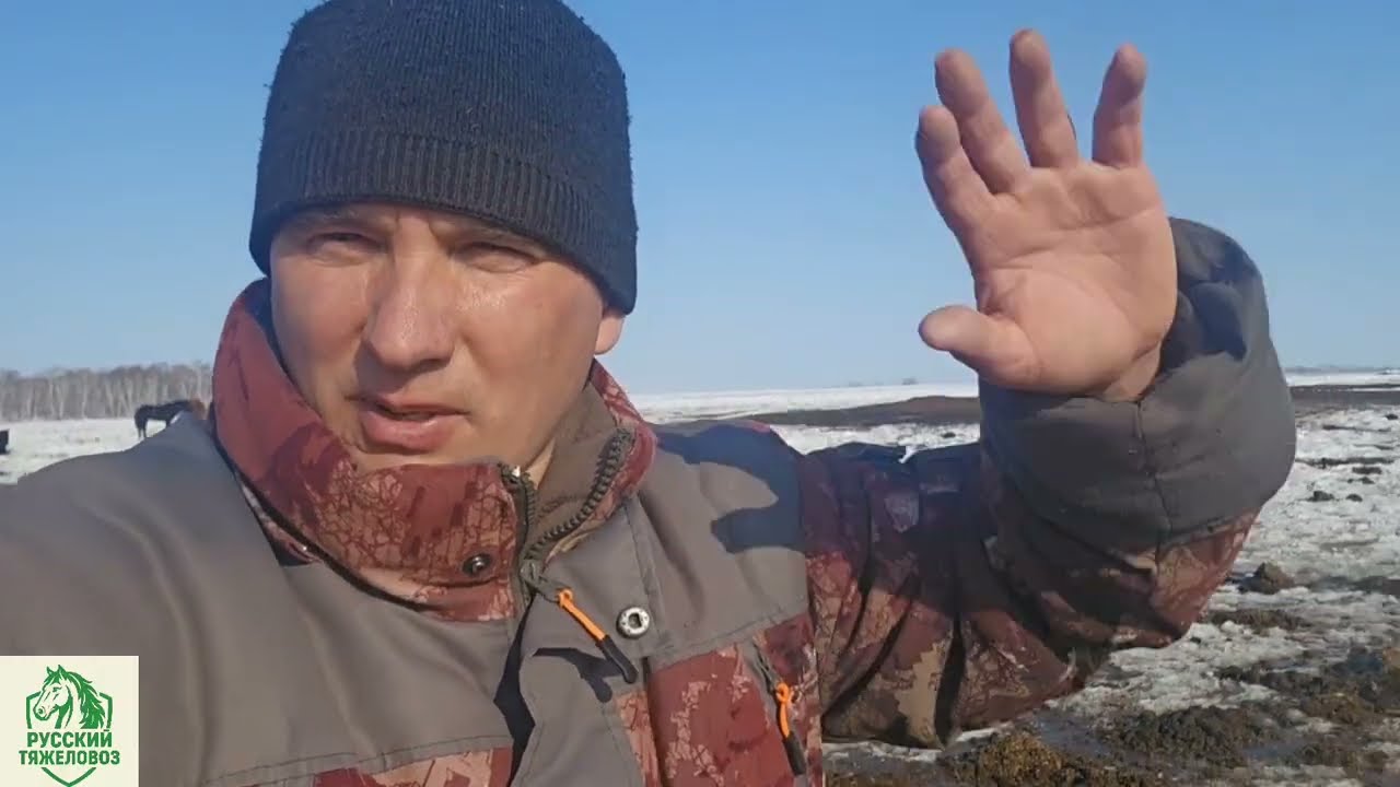 АНТИБАКТЕРИАЛЬНАЯ ПРОФИЛАКТИКА В ТАБУННОМ КОНЕВОДСТВЕ. 