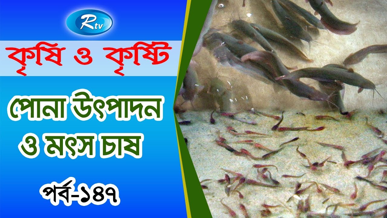 Krishi O Krishti | পোনা উৎপাদন ও মৎস চাষ | Episode-147 | Rtv Lifestyle
