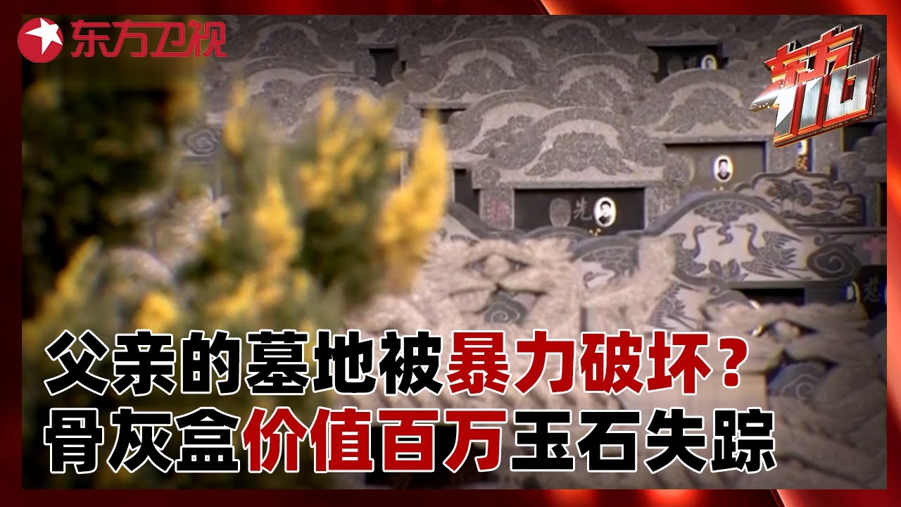 父亲的墓地被人深夜暴力破坏？骨灰盒价值百万玉石下落不明，到底谁在说慌？#东方110 FULL