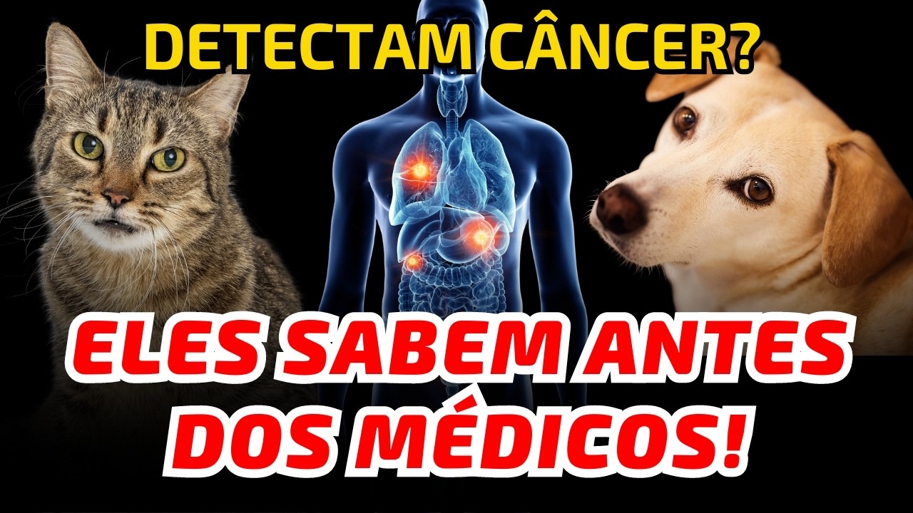 Seu CACHORRO ou GATO Pode Detectar DOEN&Ccedil;AS? Hist&oacute;rias Reais! Dr Alain Dutra